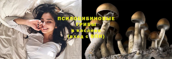 хмурый Алексеевка