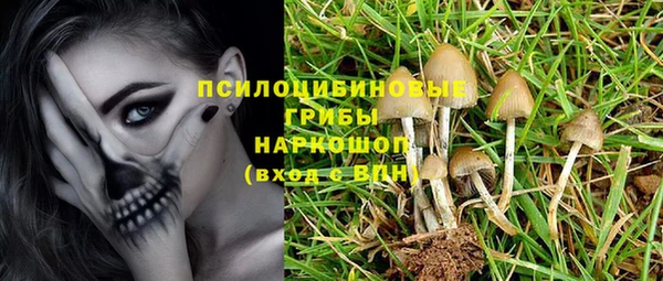 скорость Алзамай
