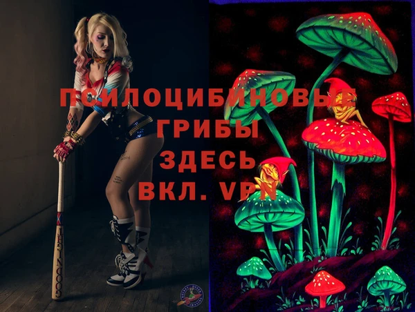 хмурый Алексеевка