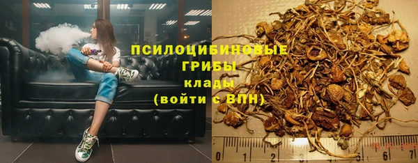 скорость Алзамай