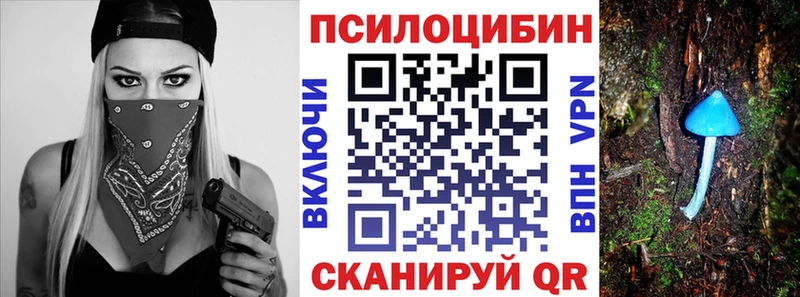 darknet наркотические препараты  Задонск  omg рабочий сайт  Псилоцибиновые грибы Psilocybine cubensis  наркошоп 